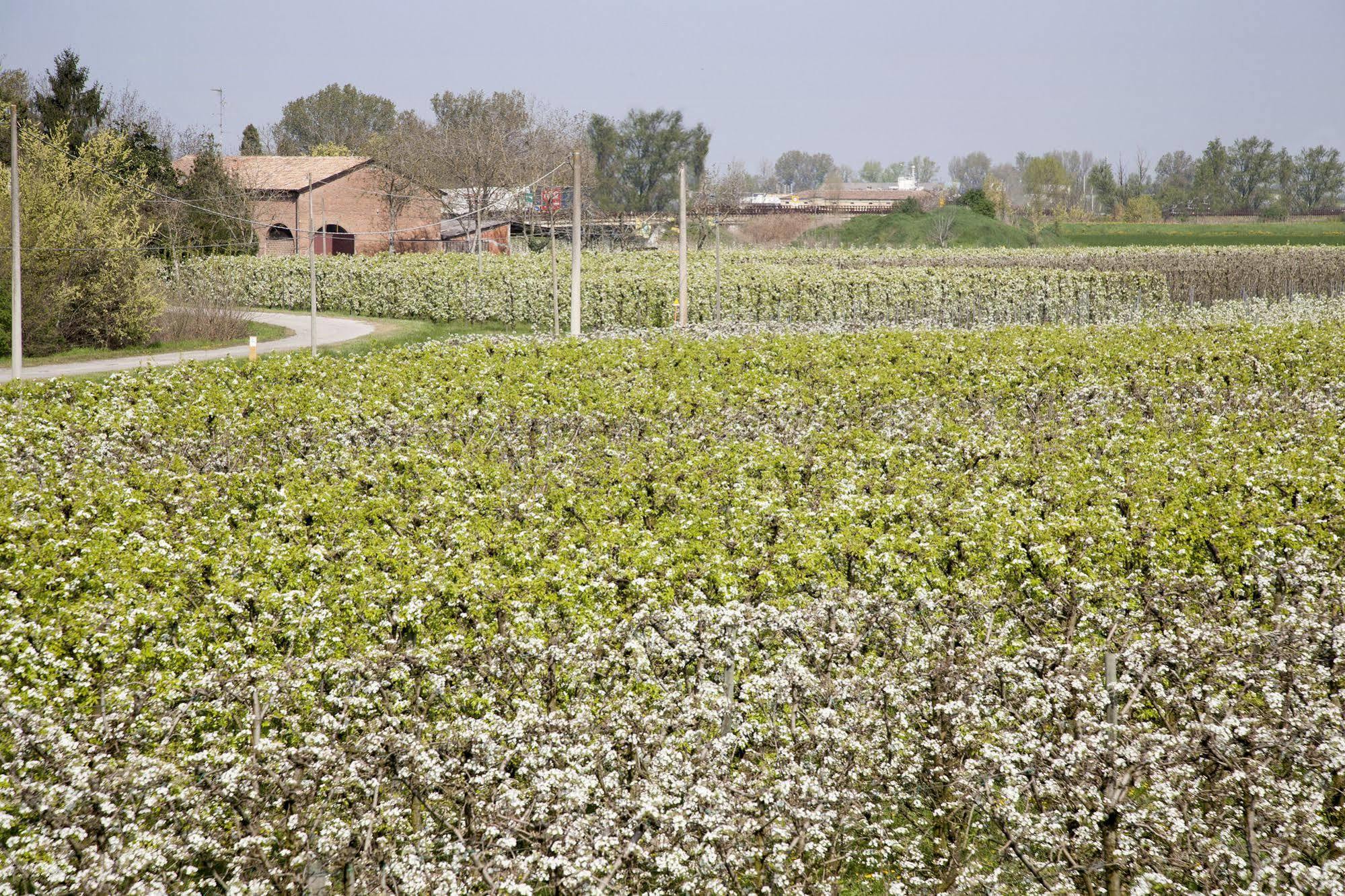 Agriturismo Dosso Al Porto Villa Rolo Exterior foto